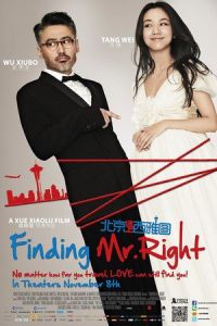 Finding Mr. Right (Bei Jing yu shang Xi Ya Tu) (2013)