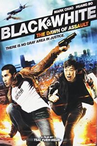 Black & White: The Dawn of Justice (Pi Zi Ying Xiong 2) (2014)