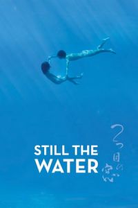 Still the Water (Futatsume no mado) (2014)