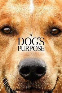 A Dog’s Purpose (2017)