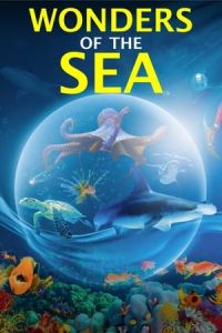 Wonders of the Sea (Wonders of the Sea 3D) (2017)