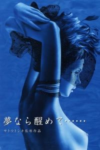 Perfect Blue: Yume Nara Samete (2002)