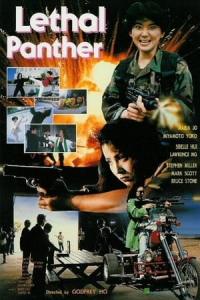 Lethal Panther (Jing tian long hu bao) (1990)